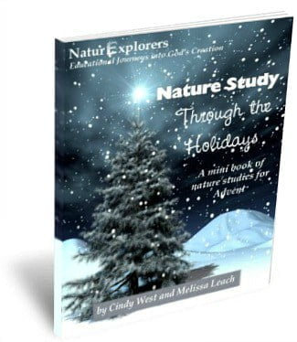 5 No-Prep, Last-Minute Homeschool Christmas Ideas Nature Study Through the Holidays