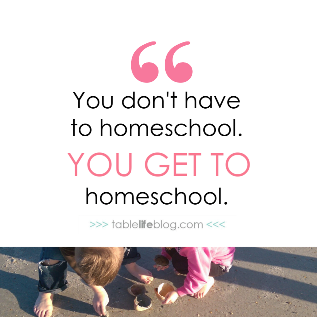 Homeschool Mother's Journal: The Privilege of Homeschooling