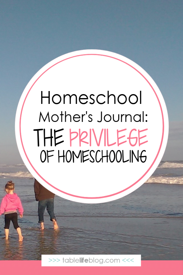 Homeschool Mother's Journal: The Privilege of Homeschooling