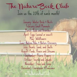 The Nature Book Club Linkup Schedule - Bird Egg Craft Project Inspired by An Egg is Quiet