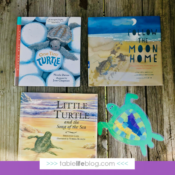 Nature Book Club: Sea Turtle Sun Catcher Craft