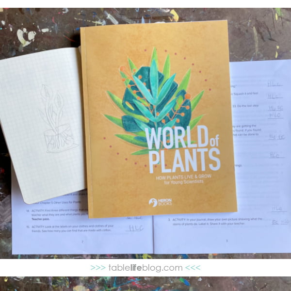 World of Plants independent learning
